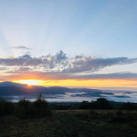 Villa Еко Дім З Соломи Solochyn Esterno foto