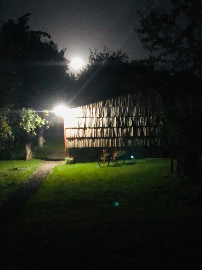 Villa Еко Дім З Соломи Solochyn Esterno foto