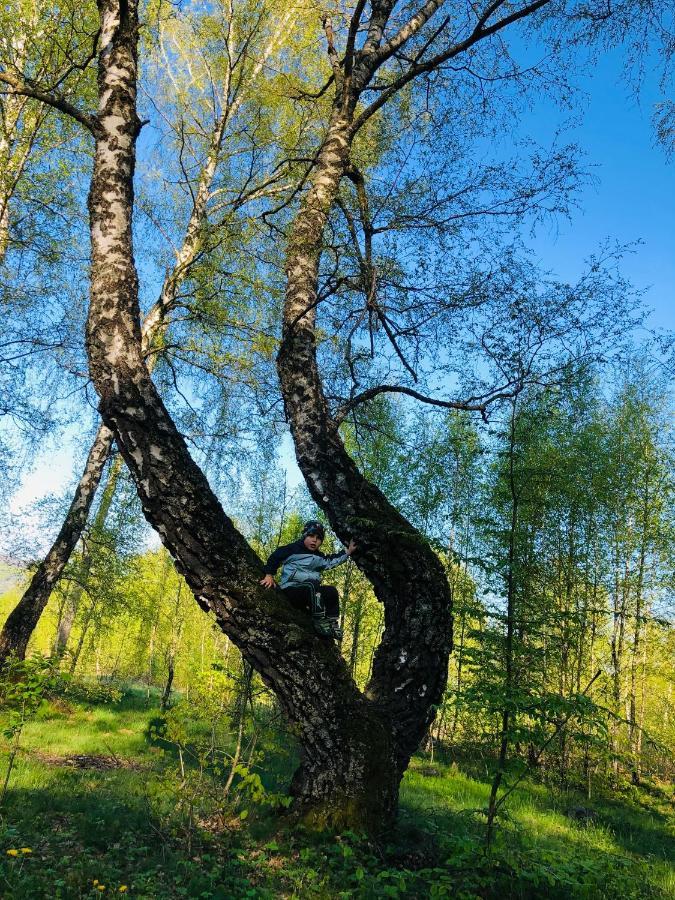 Villa Еко Дім З Соломи Solochyn Esterno foto