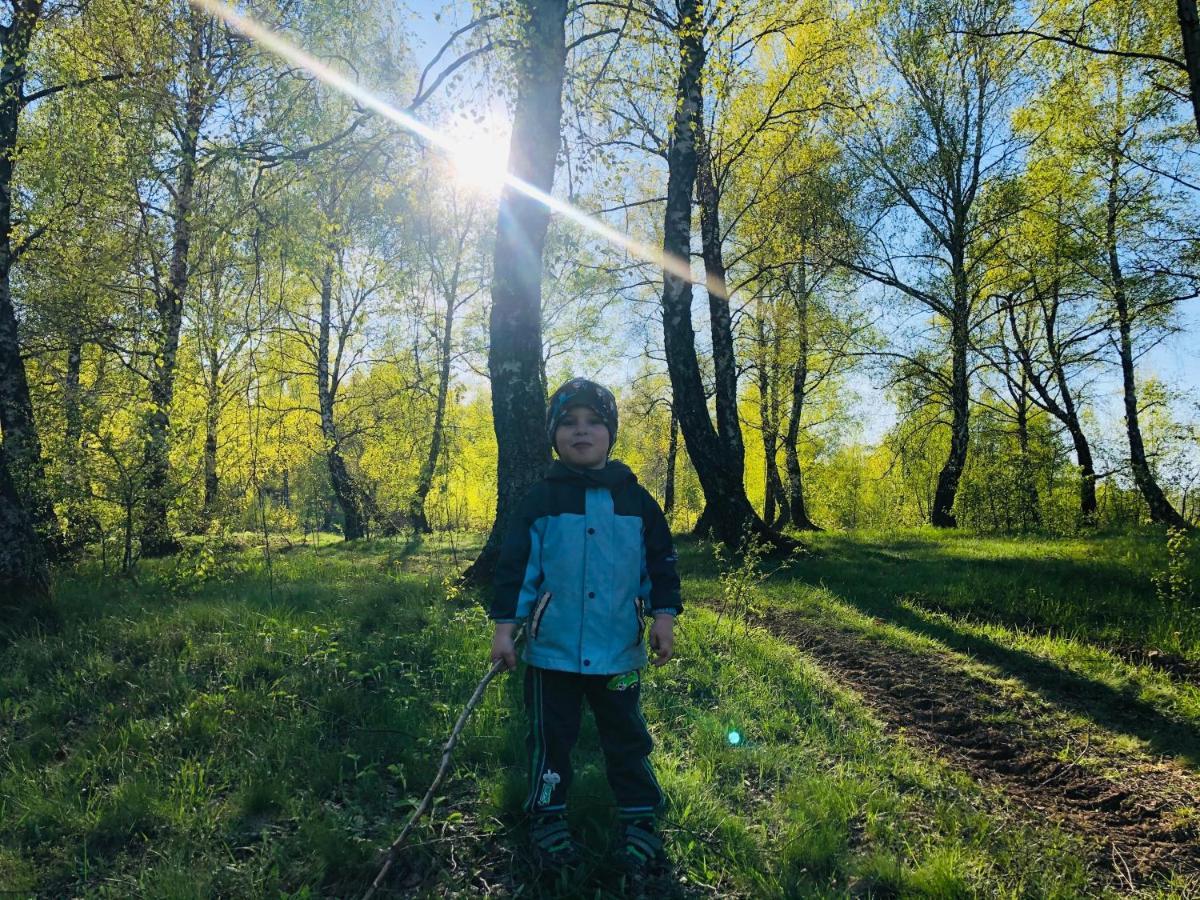 Villa Еко Дім З Соломи Solochyn Esterno foto
