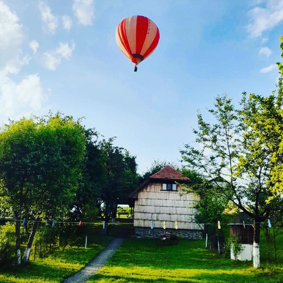 Villa Еко Дім З Соломи Solochyn Esterno foto