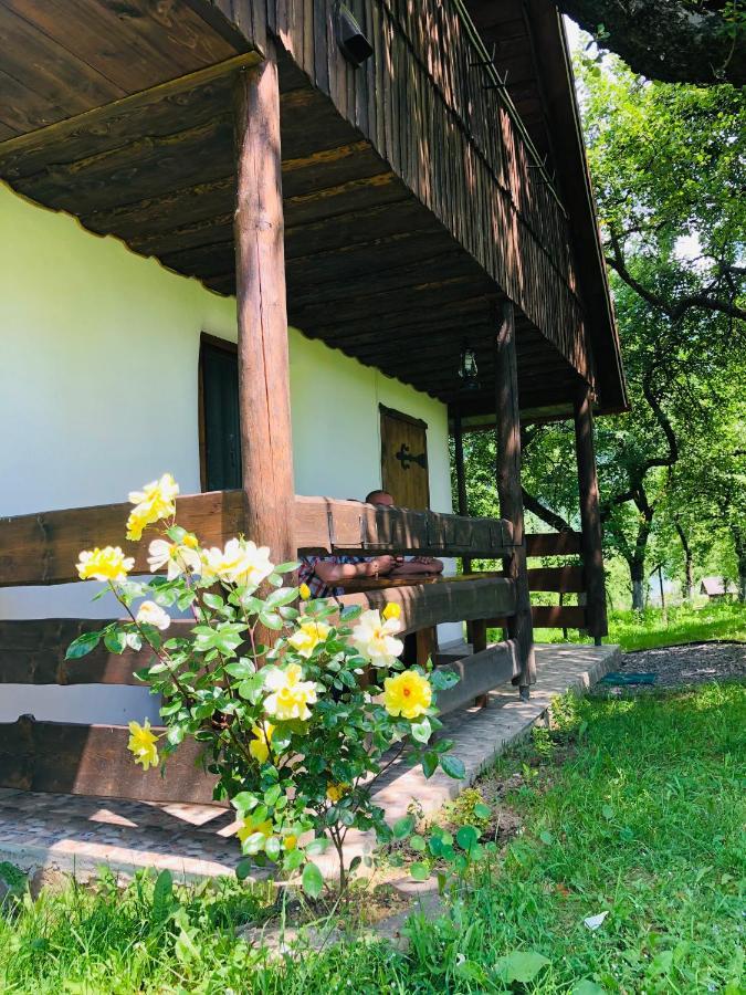 Villa Еко Дім З Соломи Solochyn Esterno foto