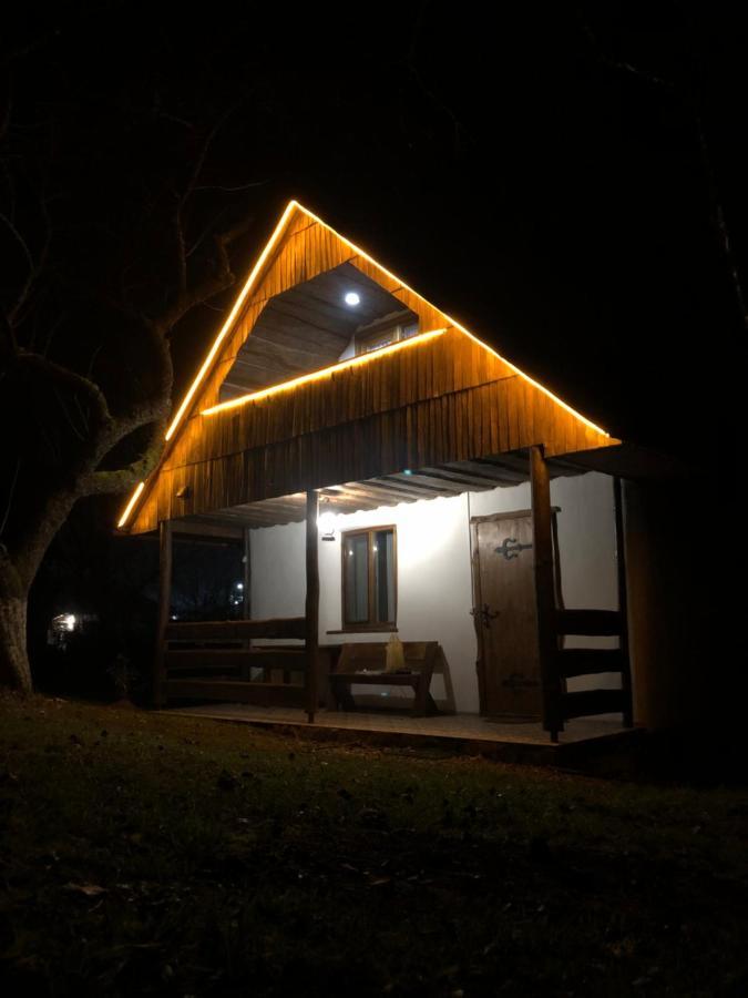 Villa Еко Дім З Соломи Solochyn Esterno foto