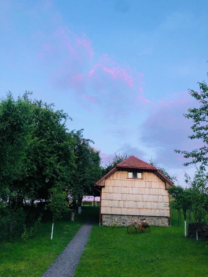 Villa Еко Дім З Соломи Solochyn Esterno foto