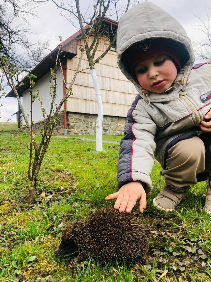 Villa Еко Дім З Соломи Solochyn Esterno foto