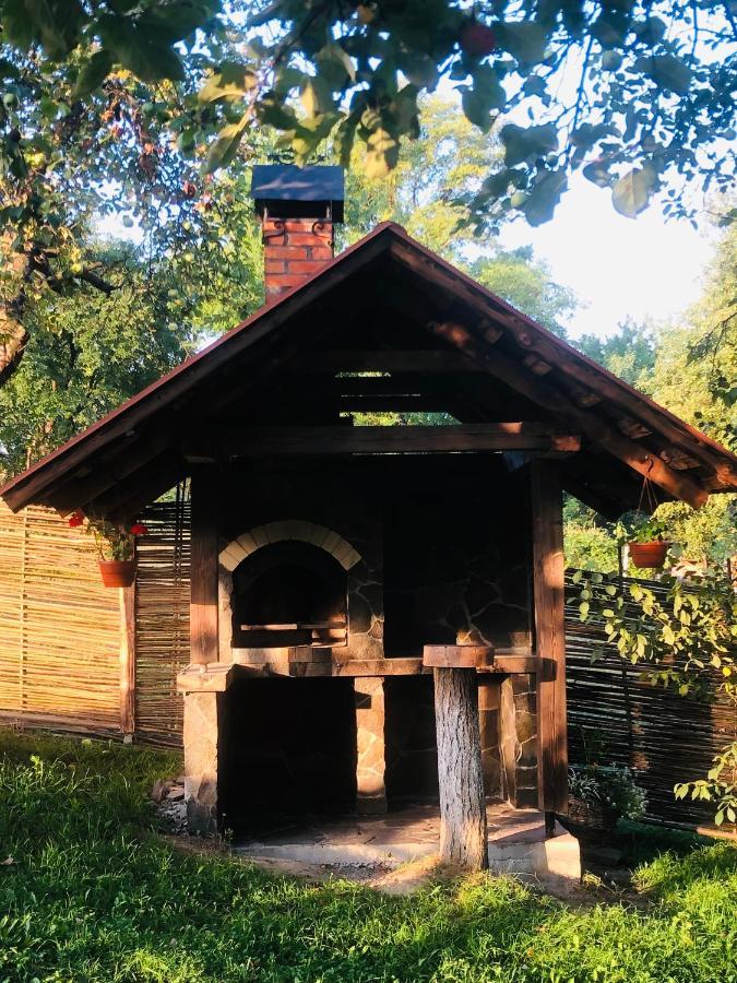 Villa Еко Дім З Соломи Solochyn Esterno foto
