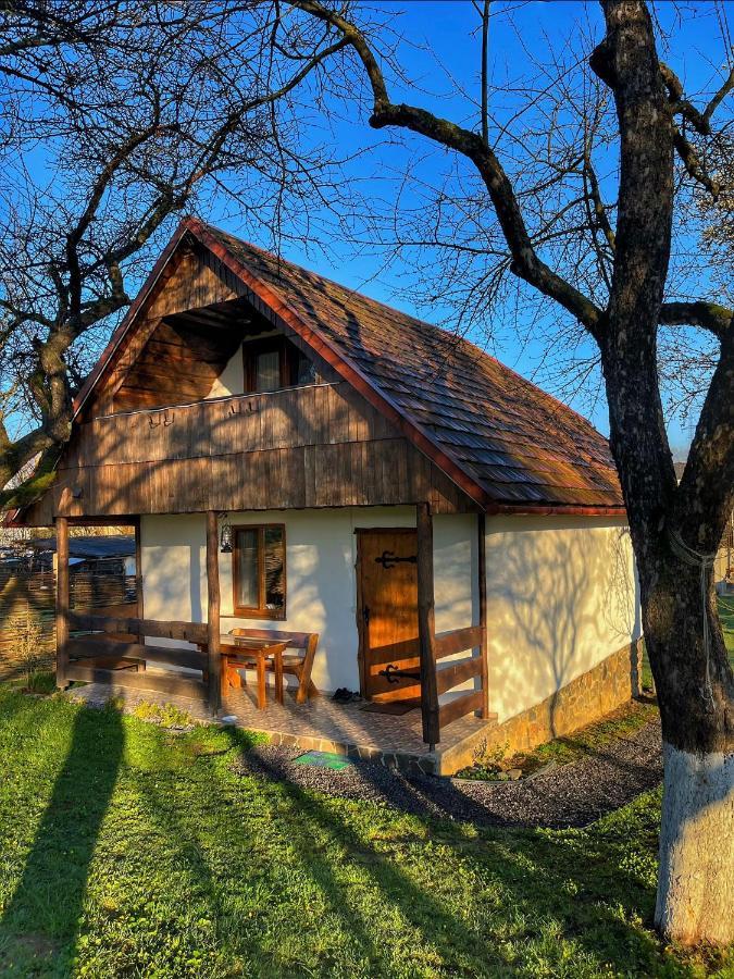 Villa Еко Дім З Соломи Solochyn Esterno foto