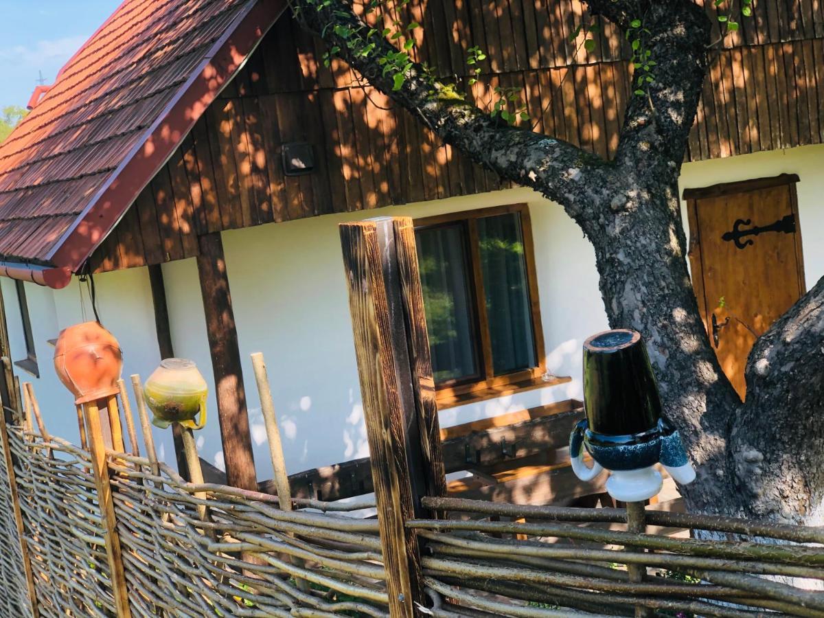Villa Еко Дім З Соломи Solochyn Esterno foto