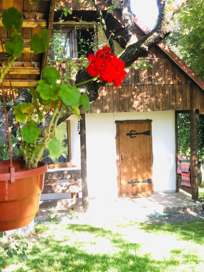Villa Еко Дім З Соломи Solochyn Esterno foto