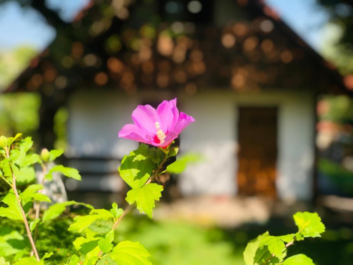 Villa Еко Дім З Соломи Solochyn Esterno foto