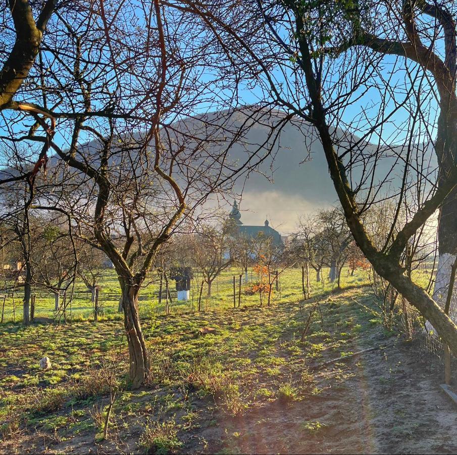 Villa Еко Дім З Соломи Solochyn Esterno foto