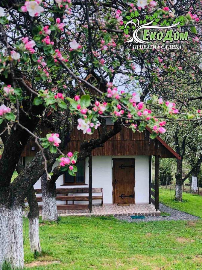 Villa Еко Дім З Соломи Solochyn Esterno foto