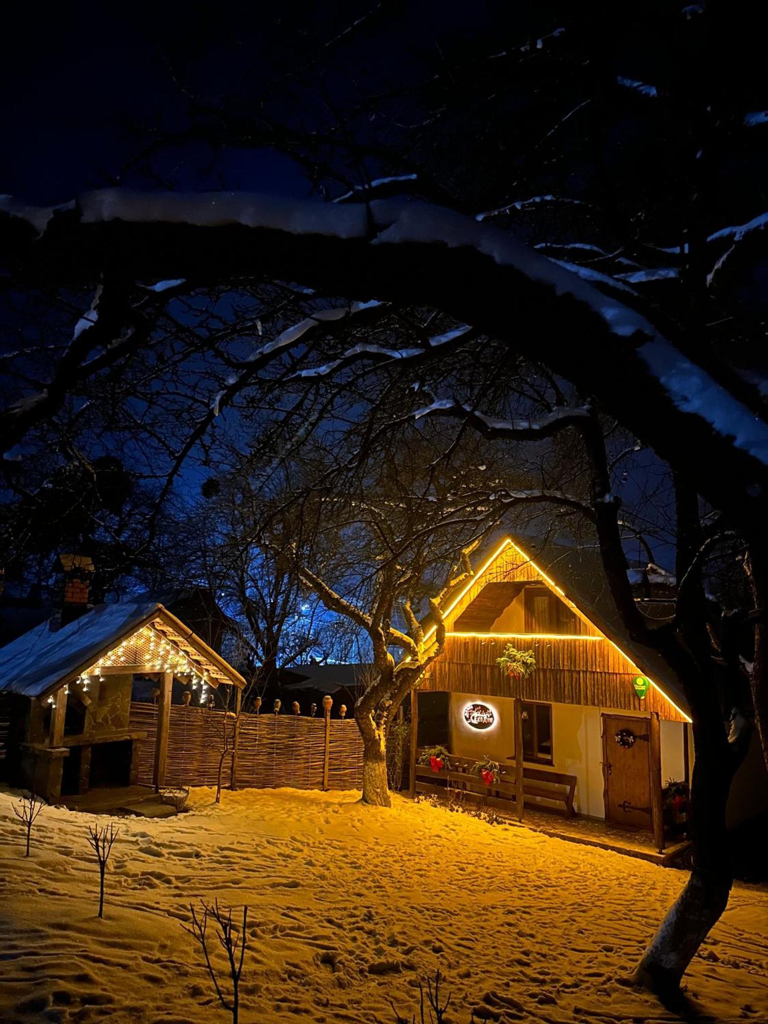 Villa Еко Дім З Соломи Solochyn Esterno foto