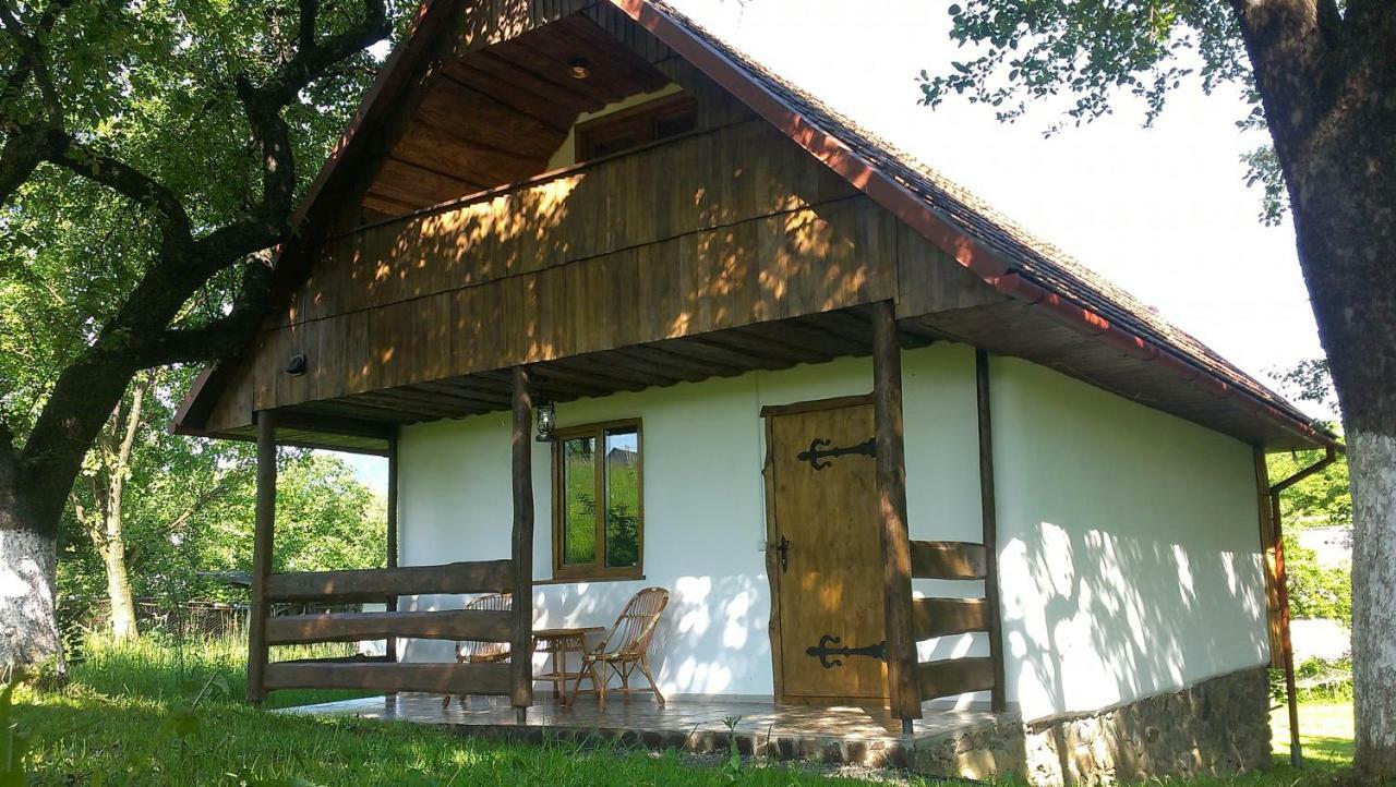 Villa Еко Дім З Соломи Solochyn Esterno foto