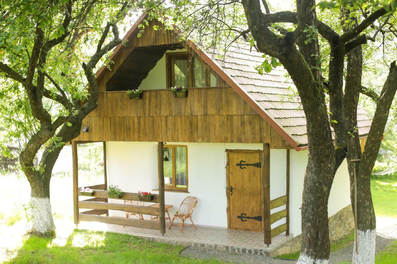Villa Еко Дім З Соломи Solochyn Esterno foto