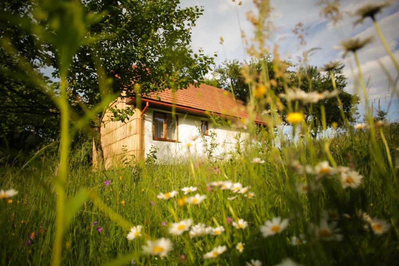 Villa Еко Дім З Соломи Solochyn Esterno foto