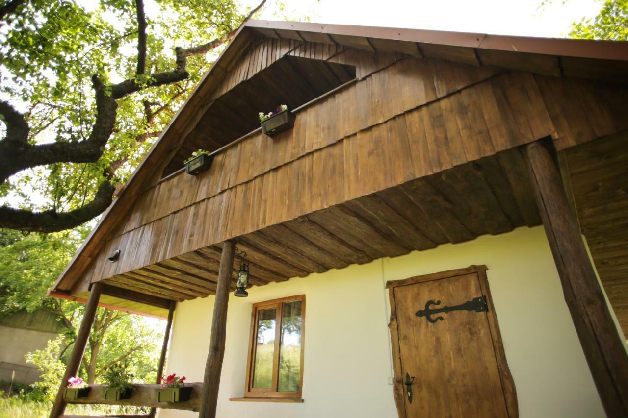 Villa Еко Дім З Соломи Solochyn Esterno foto