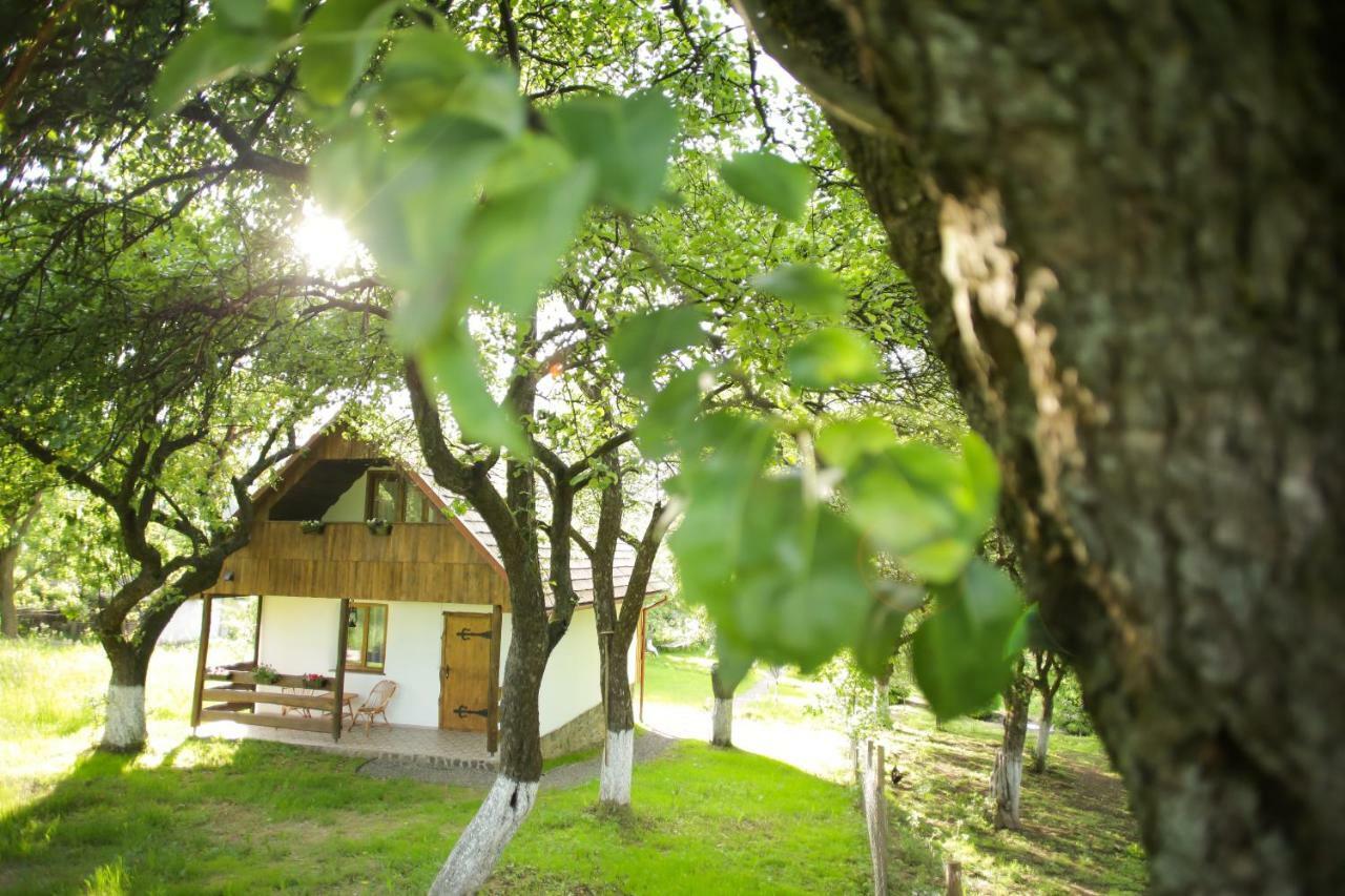 Villa Еко Дім З Соломи Solochyn Esterno foto