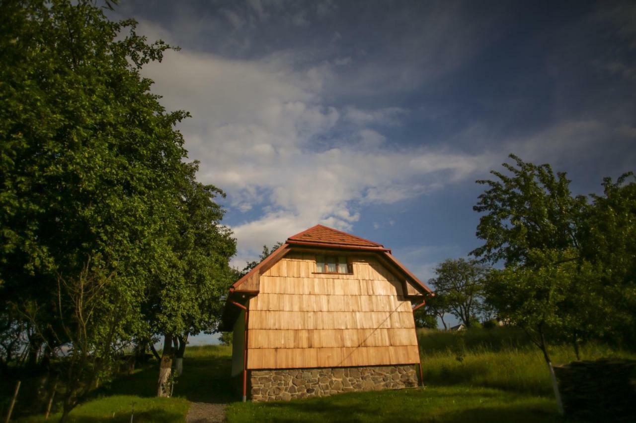 Villa Еко Дім З Соломи Solochyn Esterno foto