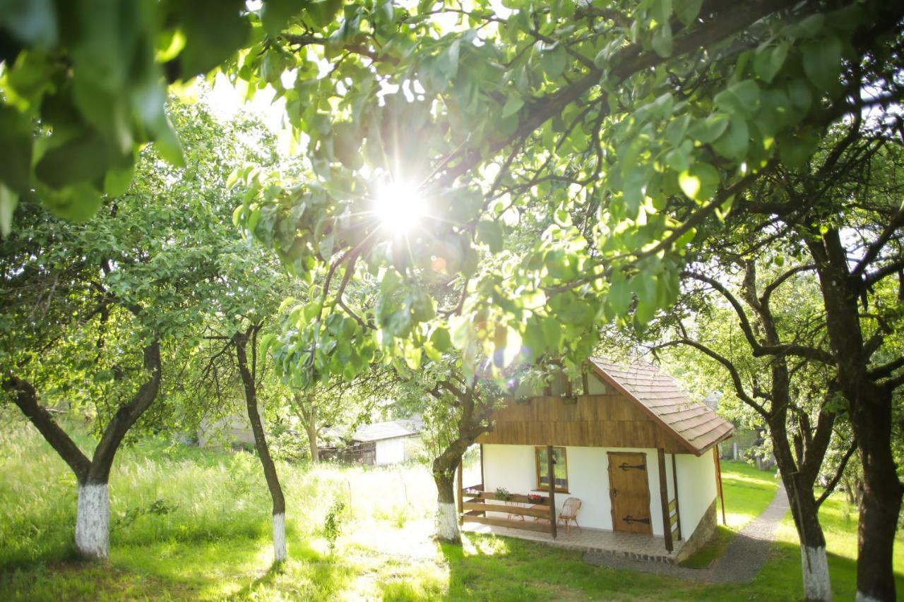 Villa Еко Дім З Соломи Solochyn Esterno foto