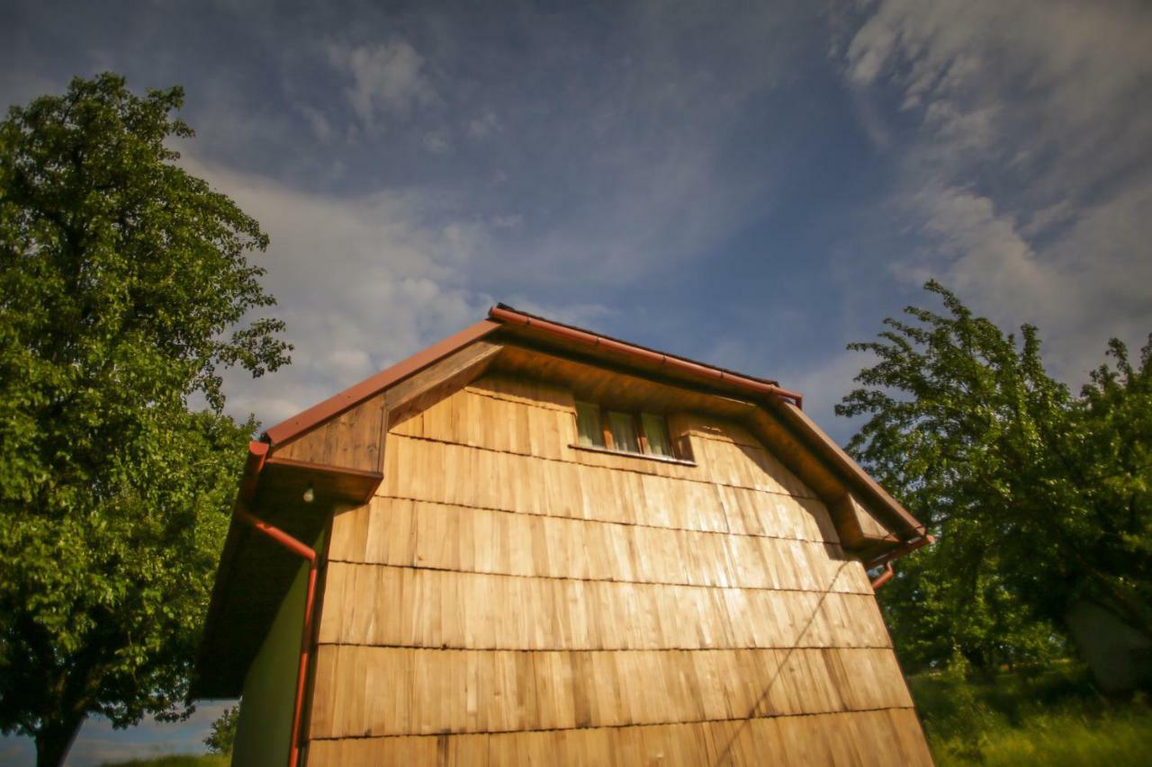 Villa Еко Дім З Соломи Solochyn Esterno foto