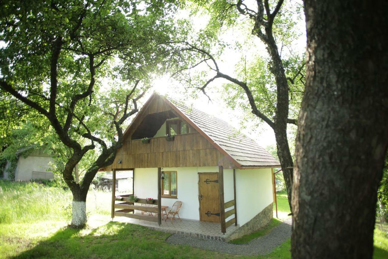 Villa Еко Дім З Соломи Solochyn Esterno foto